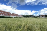 Gallery 01