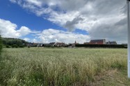Gallery 01